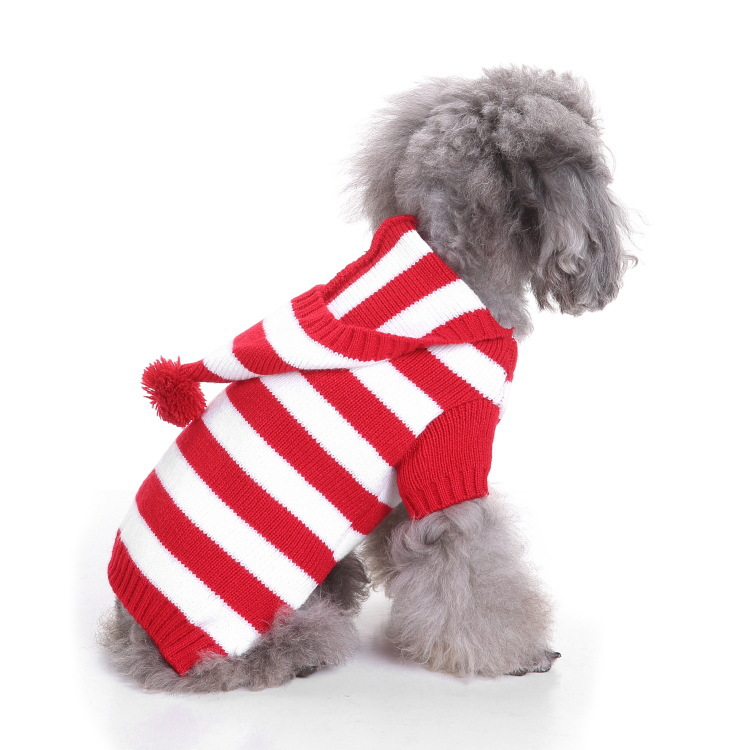 Strickweste für Haustiere, Herbst-Winter-Kleidung, warmes Outfit für zweibeinige Teddybären, kreativer Hundepullover_voghion.com