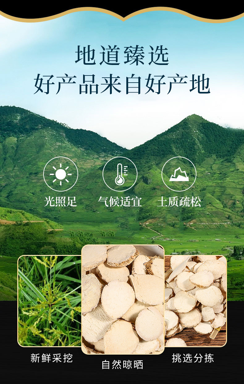 San Leng (Sparganium stoloniferum) — Dried Rhizome & Vinegar-Processed Powder, 500g overview