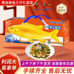 �_�T�t�����y�б��U�S�ֶY�S�����~�и��в������S�����~�Y���b