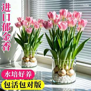 ������N��N����Ʒ���Ի�������ˮ���҃Ȼ��ļ����B�����ԷN��