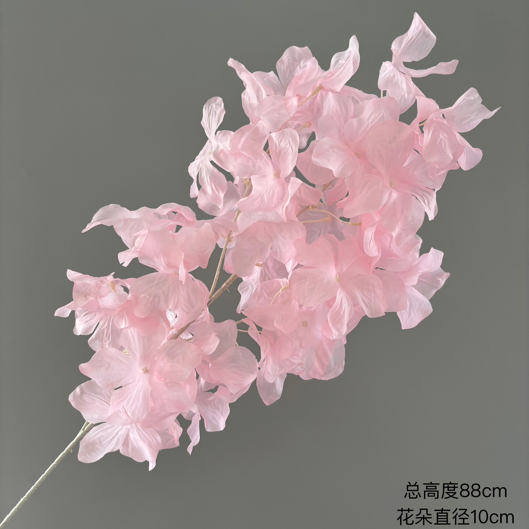 분홍색