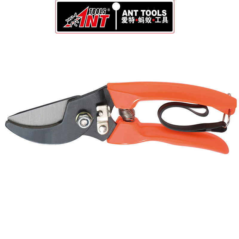 新款园林果树剪刀  树枝果枝修枝园艺剪子  园林修枝工具厂家供应