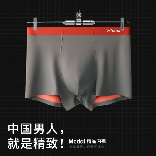 Cat People Invisible Men's Underwear Dual-Sided Colorblocked Mulberry Silk Antibacterial High-Elastic Breathable Absorbent Drop Ship One Piece