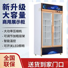 立式双门铜管商用饮料冷饮蔬菜水果柜冰柜冷藏柜展示柜保鲜柜
