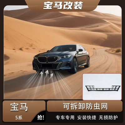 Suitable for BMW 5 Series, anti-insect net with snap-on design, special dust-proof net for radiator grille, blackened decorative strip