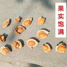 ëҷNëҺɽӘҘNɽҷNӿ޽÷ľ