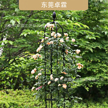 �羳���N11mm���ʽU���¼��������b�F��ɏ�������¼��ܻ���