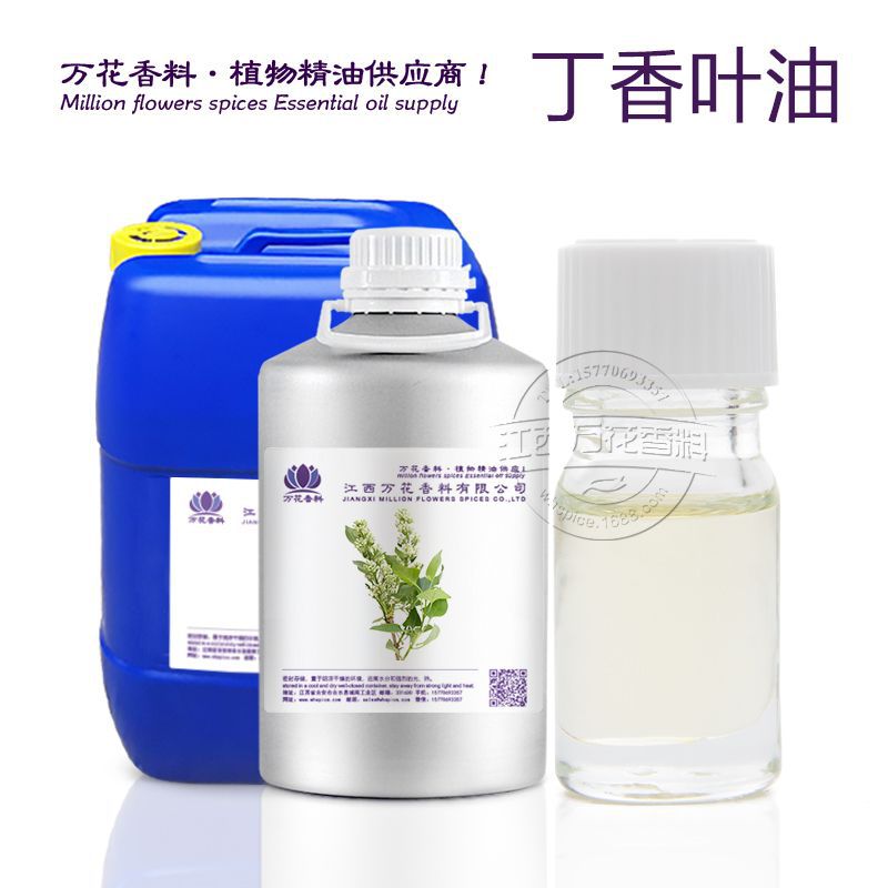 ���ҹ�Ӧ����Ҷ�� ������ȡ����Ҷ����ֲ��������������ӭ�ɹ�