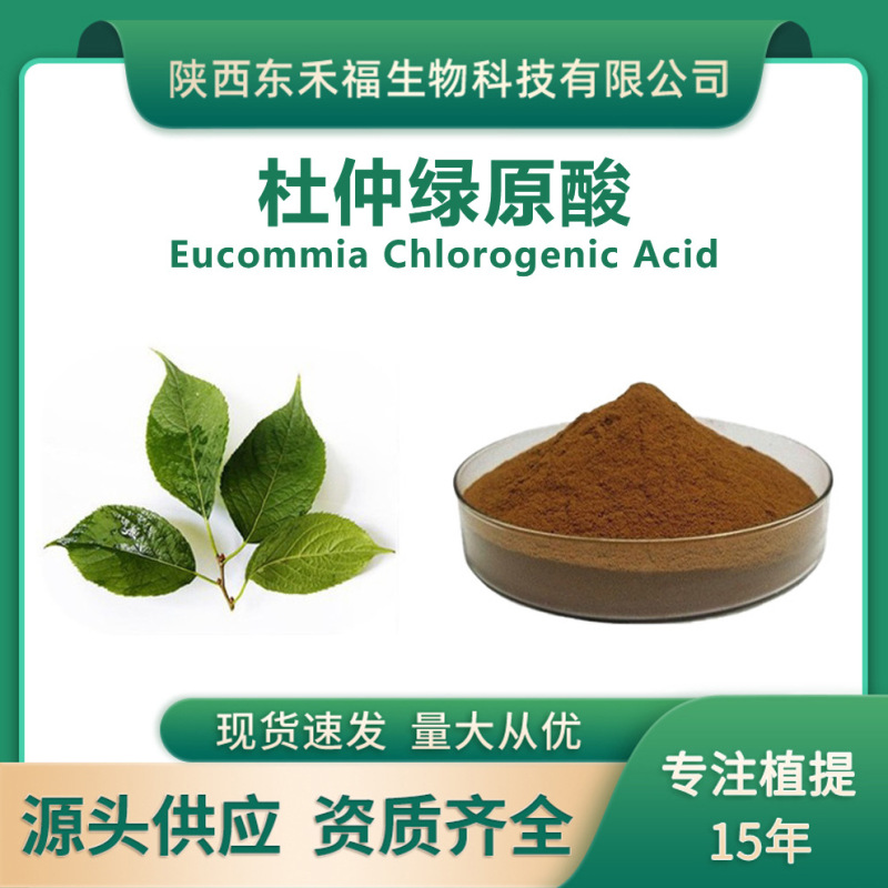 Eucommia ulmoides Chlorogenic Acid 5% 98% Eucommia ulmoides Leaf Extract Water Soluble Coffee Tannic Acid Eucommia ulmoides Polysaccharide Flavone 500 g/Bag