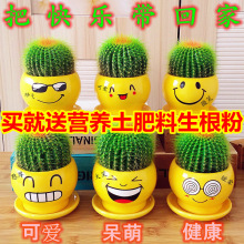 kֲ҃ƿ͏dԻܾGֲBͺ