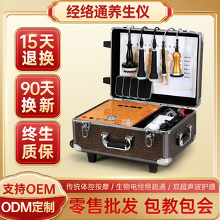 2023 multi-functional intelligent Meridian dds biological electrotherapy physiotherapy dredging acid and alkali flat suction tank scraping massage factory