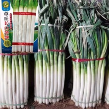 �L�חl���[�N�������F�U����ͩ��������[�Ѯa�߲˷N�ӹ�˾