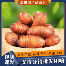 r|QӼSQӼrsӼ ҰSsӼ500gl