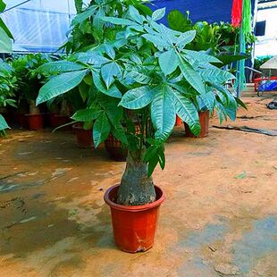 �lؔ������ֲ���҃����[���ܾGֲ�͏d����辰�ļ������k����