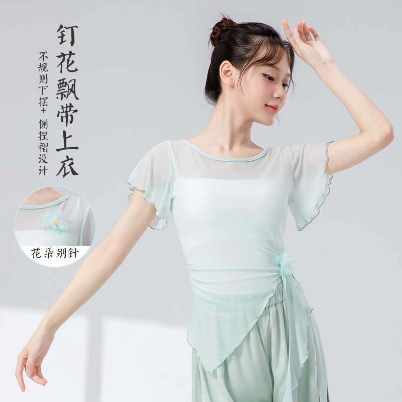古典舞蹈服女新款钉花飘带修身短袖网纱花朵上衣飘逸演出练功服装|undefined