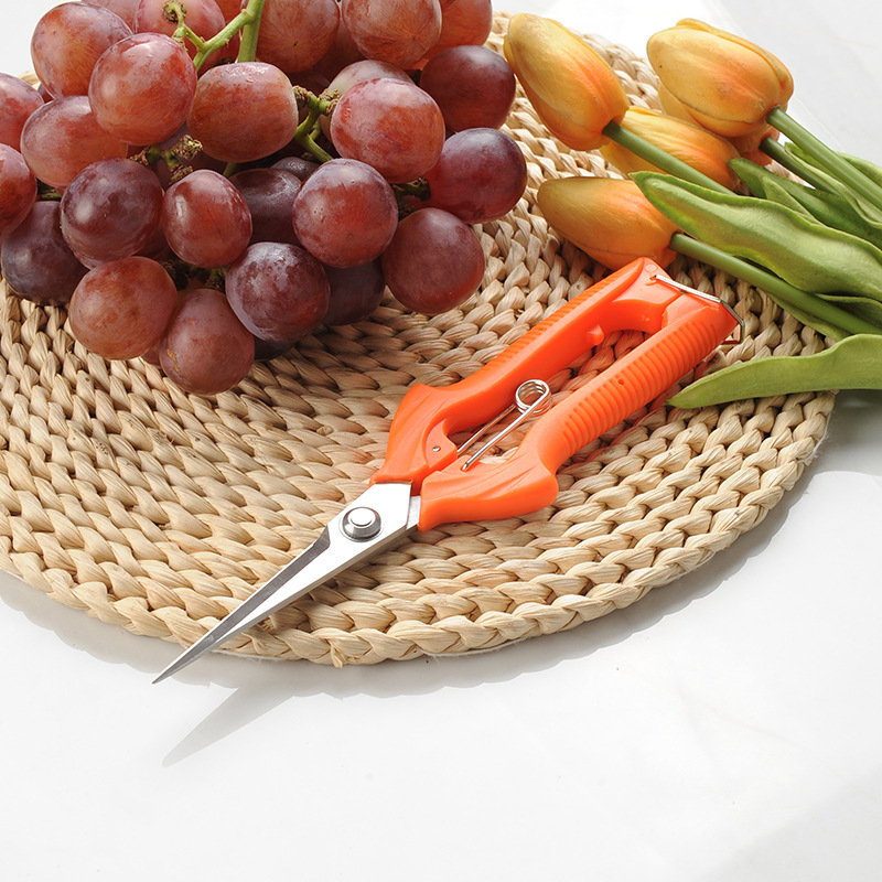 果树修枝剪树枝专用花艺花卉枝剪子剪枝园林工具花剪修剪园艺剪刀