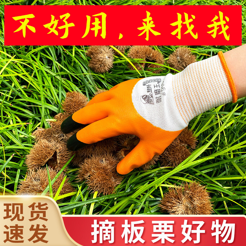 Guantes de castaño Dengsheng, guantes especiales anti-perforación de castaño para pelar y recoger Castaño, jardinería y poda