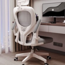 ��X�μ������w���W�����D�k�����������늸�������W����������