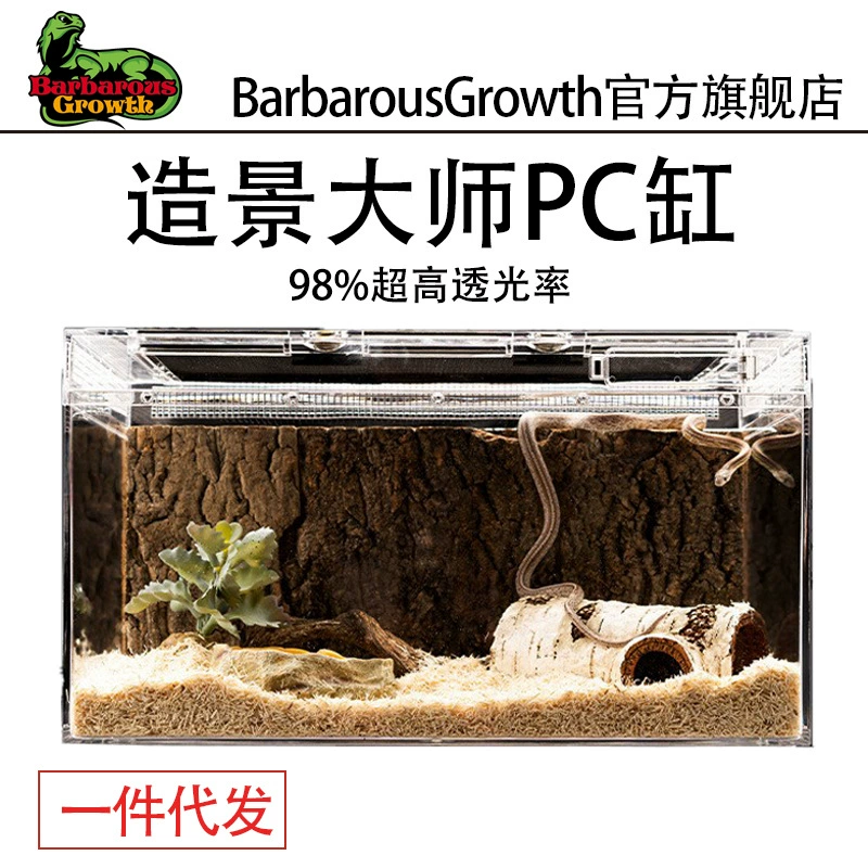 Рептилия стеклянный резервуар ползание домашнее животное охранник ящерица многоножка паук скорпион черепаха рогатая лягушка отшельник Краб рептилия коробка для кормления