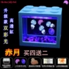 Chiyue buy four and get two free + blue tank + two lanterns + two packs of sea salt + food + dropper + feeding card