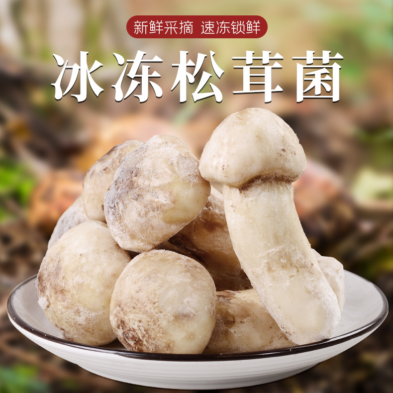 冰鲜松茸冰冻松茸云南特产山珍食用菌菇冬季煲汤食材菌子新鲜松茸