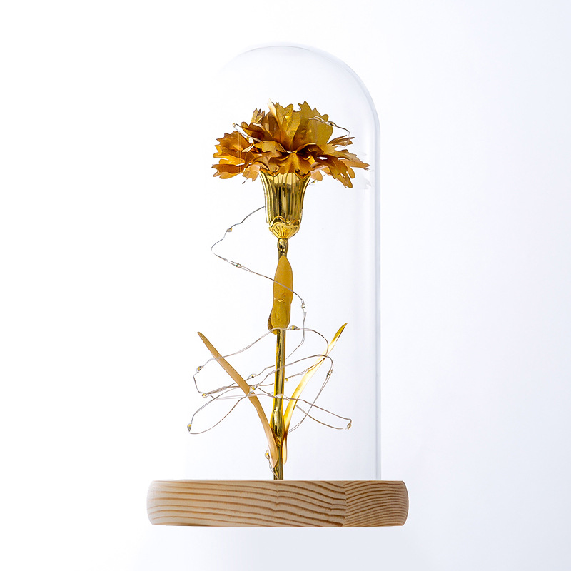 Preserved Flower Glass Cover Mother's Day Gift