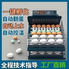 鹅蛋孵化全自动小型家用型智能孵蛋器鸭鹅家用全自动孵化机鸡蛋