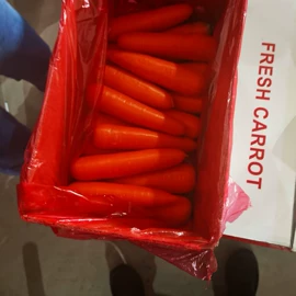 蒜;洋葱;块茎类