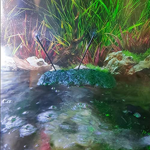 Mascotas trepadoras, tortugas, patas secas, rocalla, terraza, pecera, tortuga de agua, tortuga de escalada, isla flotante, plataforma flotante mediana, tabla flotante