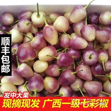 �Fժ�F�l�V���߲ʽ������Fժ��ʽ��ݽ�С���\��С�׽��߲�����