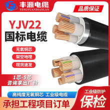 国标YJV/YJV22 0.6/1KV铜芯 电缆4 5芯10～300平方低压电力电缆线