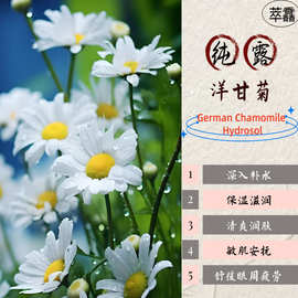 洋甘菊纯露 湿敷修护屏障 敏肌专用爽肤水批发