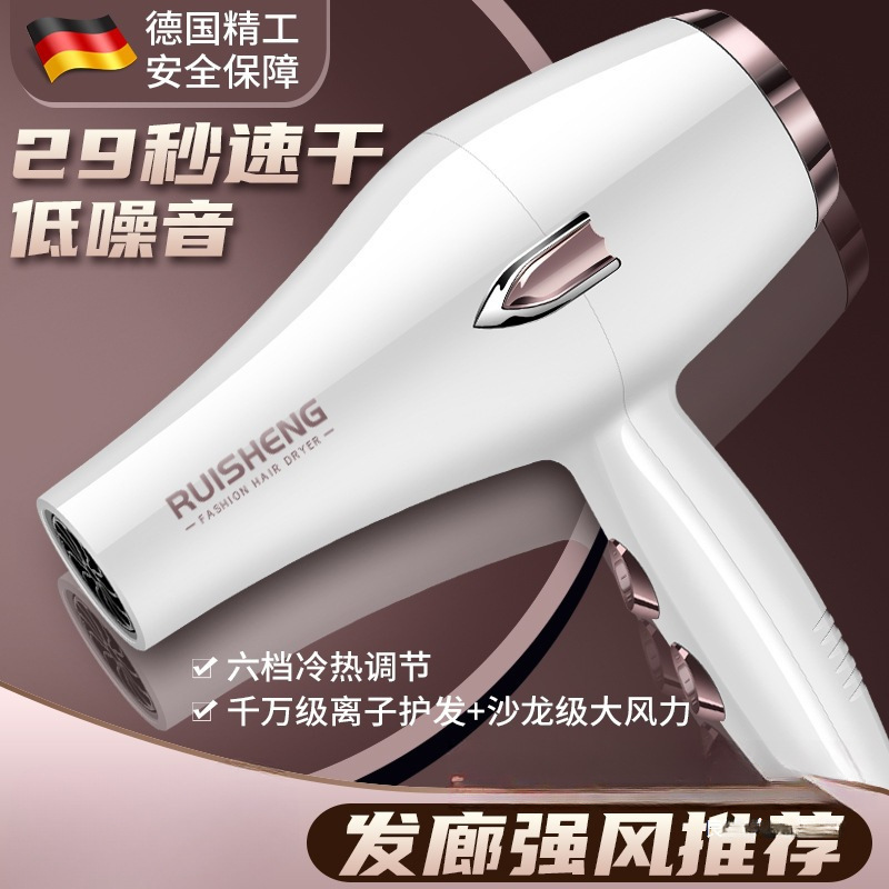German Hairstylist Hair Dryer 3000 Hair Salon High-Power Household Strong Wind Hot and Cold Air Blue Light Negative Ion Hair Care Static