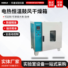 電熱恆溫鼓風干燥箱不銹鋼數顯恆溫干燥箱大型烤箱烘干箱鼓風烤箱
