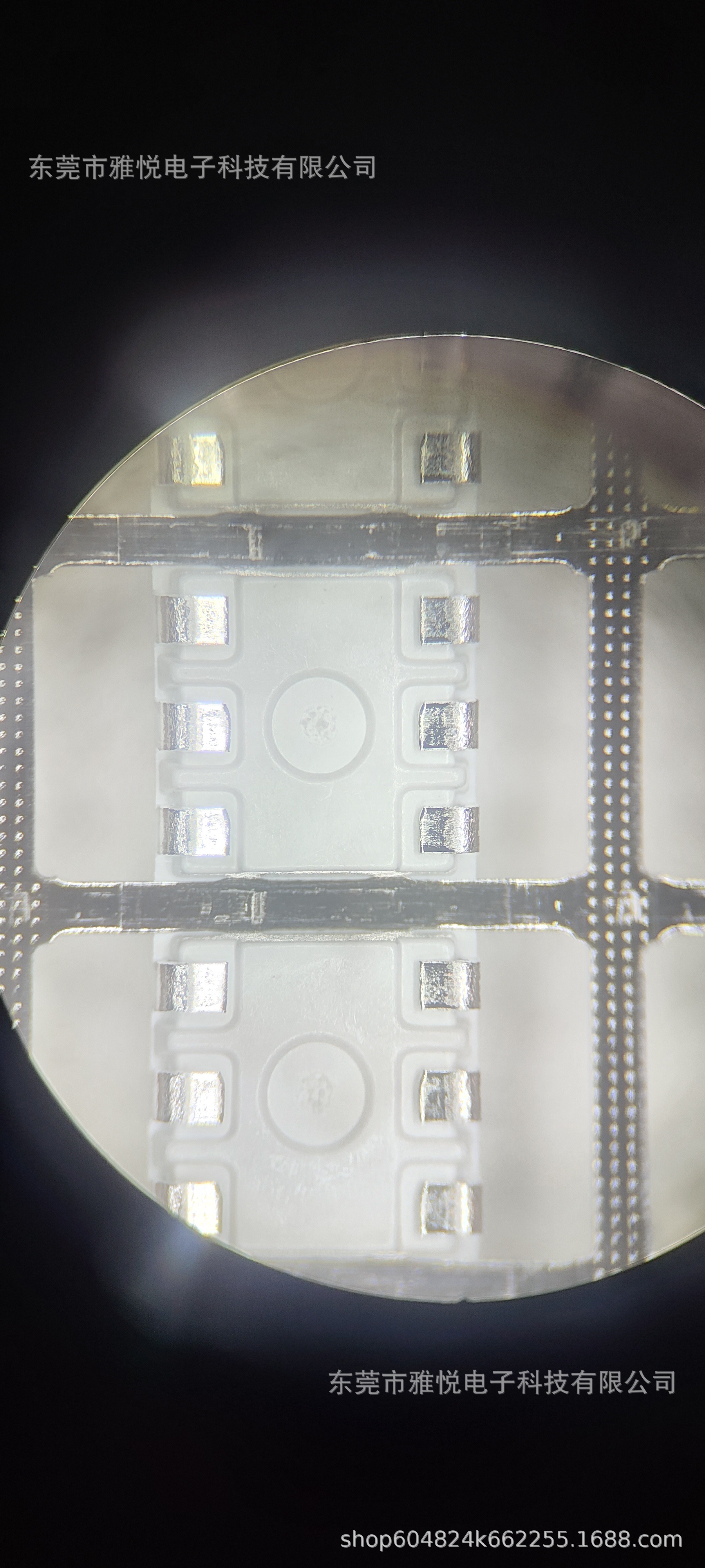 微信图片_20241016172853