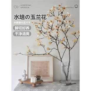 ˮ��ֲ�����m���ܾGֲ�҃�ˮ�B�������r�л��ͺ�����r������ֱ�l