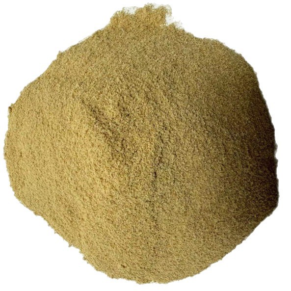 2025-05-05 11:50:08.jpg