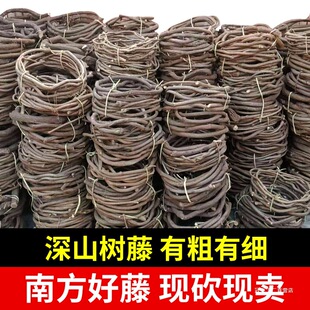 ���ٿ��ټtɽ�ٹܵ���ɽ�ٗl�����~�������٘�֦�ɼ�ֲ���c�b�