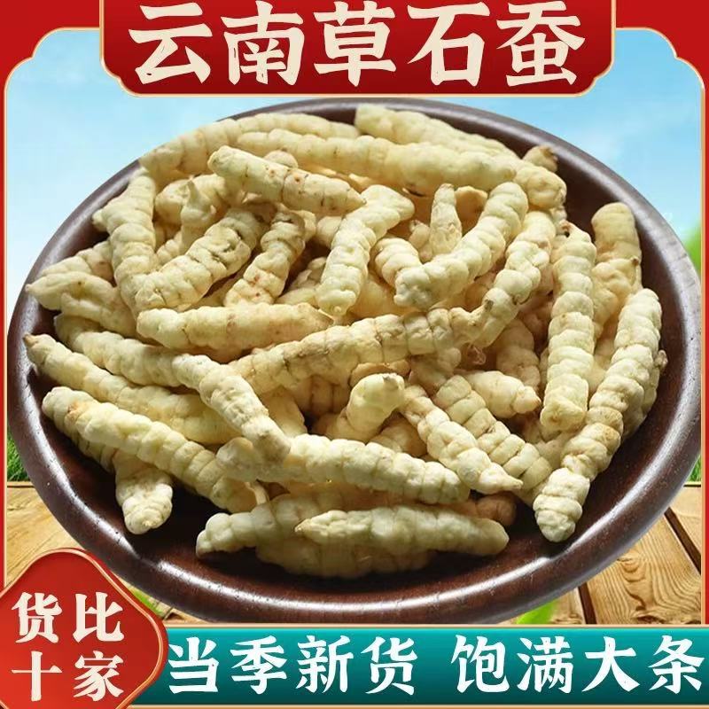 草石蚕白虫草地蚕虫草参大货批发零售 袋装罐装规格电商齐全 一件