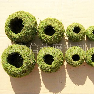 出口日本染色苔玉 苔蘚球 創意DIY園藝盆栽 家居 微景觀 個性花盆