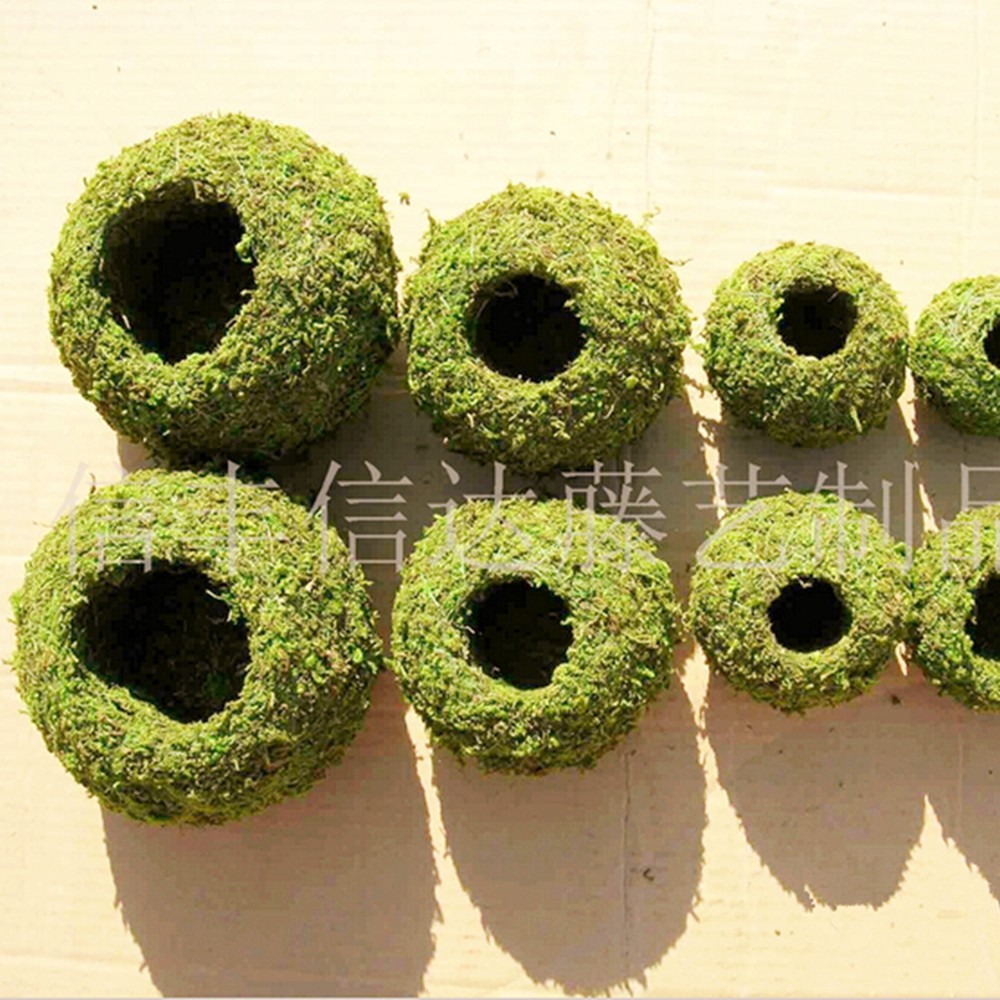 出口日本染色苔玉 苔藓球 创意DIY园艺盆栽 家居 微景观 个性花盆