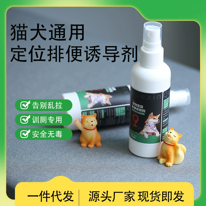 Индукент Собаки Собаки Туалет Индукент Собаки Тренировка мочеиспускания в туалете