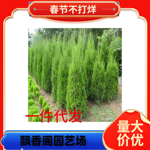 һ�����l�ļ�����G����ľ��u��~����u������Ƀ~�����ش��ر�