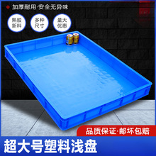 ���z���D���ش�̖�������ӷ��P�����бP�L��������\�P�ӹ��I�z�P