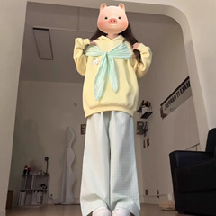 甜美格子蝴蝶结绑带连帽卫衣女2025春秋新款设计感宽松慵懒外套