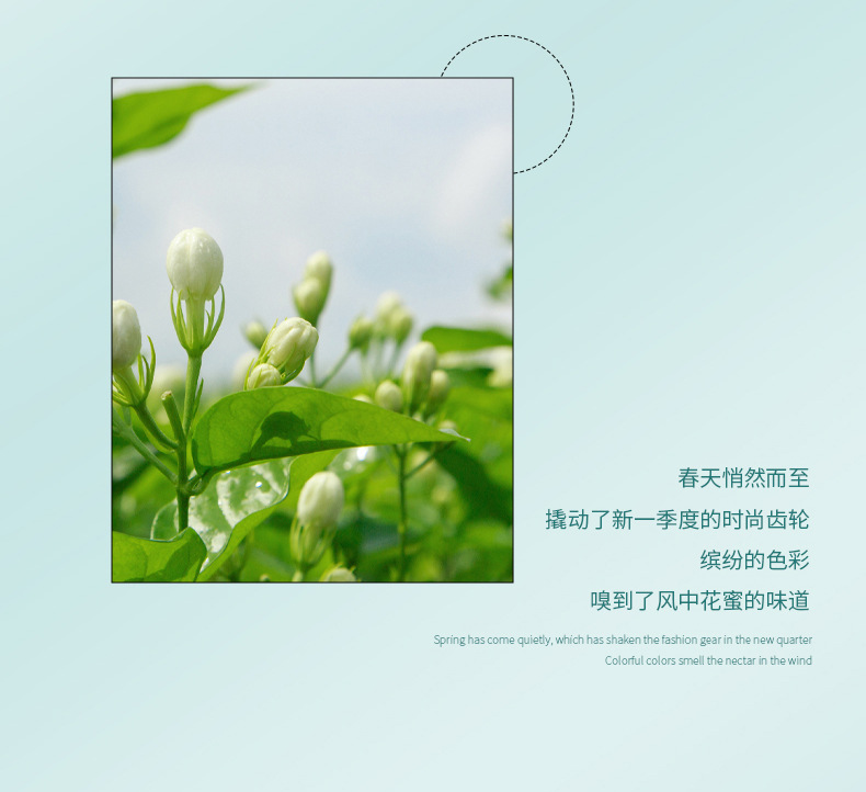 Xiaocheng Yixiang's new aromatherapy products for indoor, bedroom, hotel and toilet deodorization, as well as household flameless aromatherapy, are available for wholesale undefined
