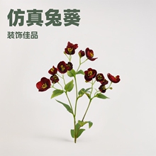 ���Sֱ�N�����ÿ� �Ҿӻ�c������ˇ�b� �ٻ����l ���� ��ɫ���x