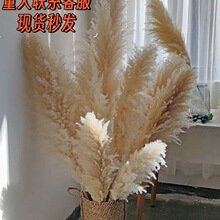 ��Ȼ�JȔ�ɻ������W�t�滨�͏d�[�O��Y������Ȕ�������ins�[��