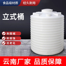 塑料水塔储水罐PE桶5吨10吨20吨滚塑水箱牛筋加厚卧式储水蓄水桶