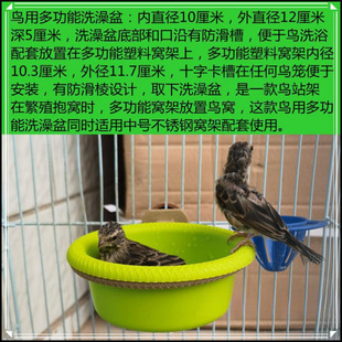 Bird bath basin bath tub jade bird hibiscus bird golden green gray Yan big golden hemp material peony budgerigar